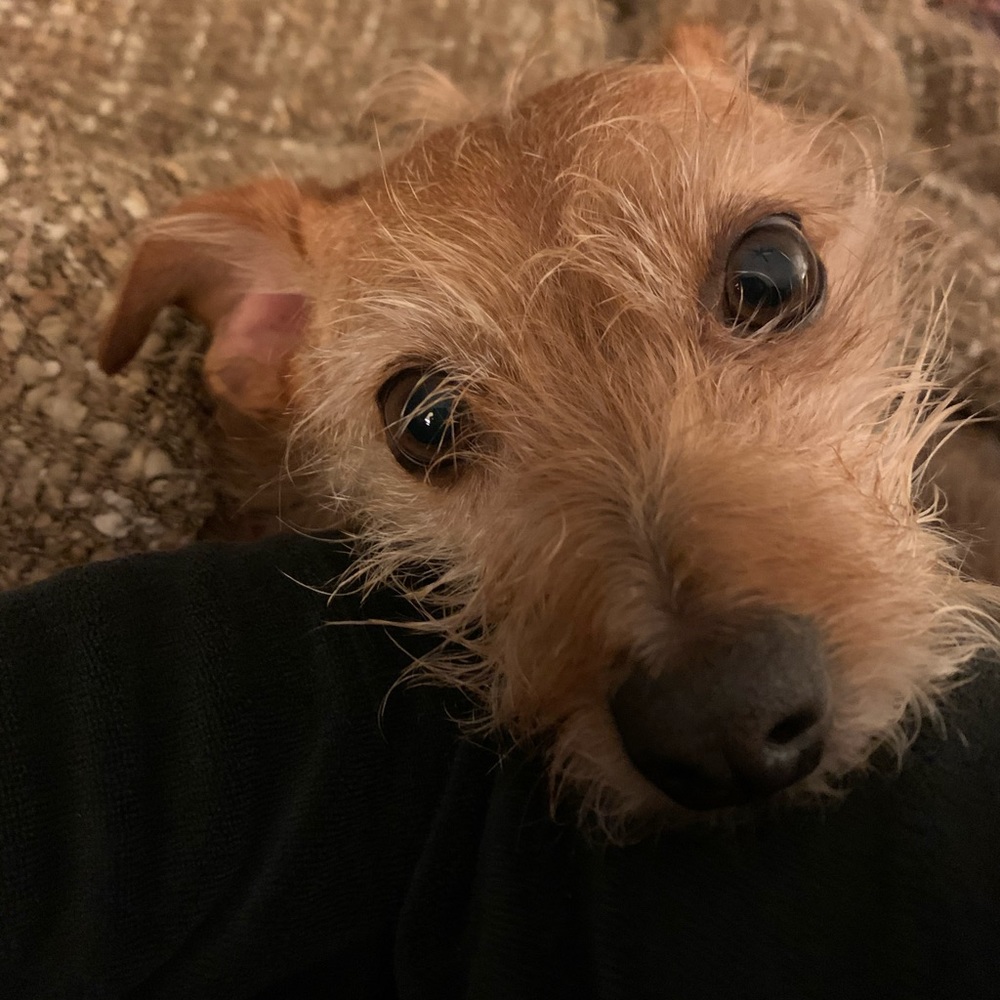 Meet your Posher, Sherie